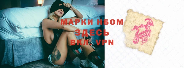стафф Алзамай