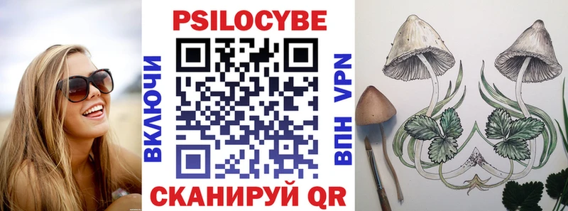 кракен как войти  Сольвычегодск  Галлюциногенные грибы Psilocybine cubensis 