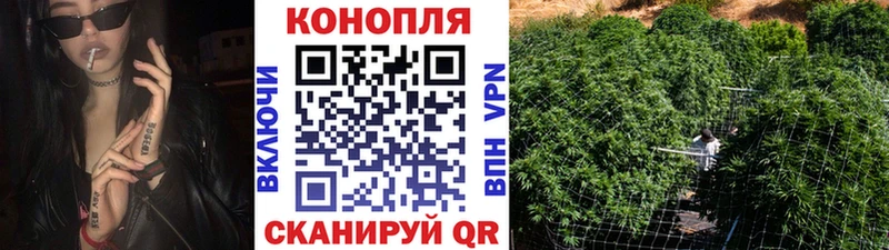 Бошки марихуана индика  Сольвычегодск 
